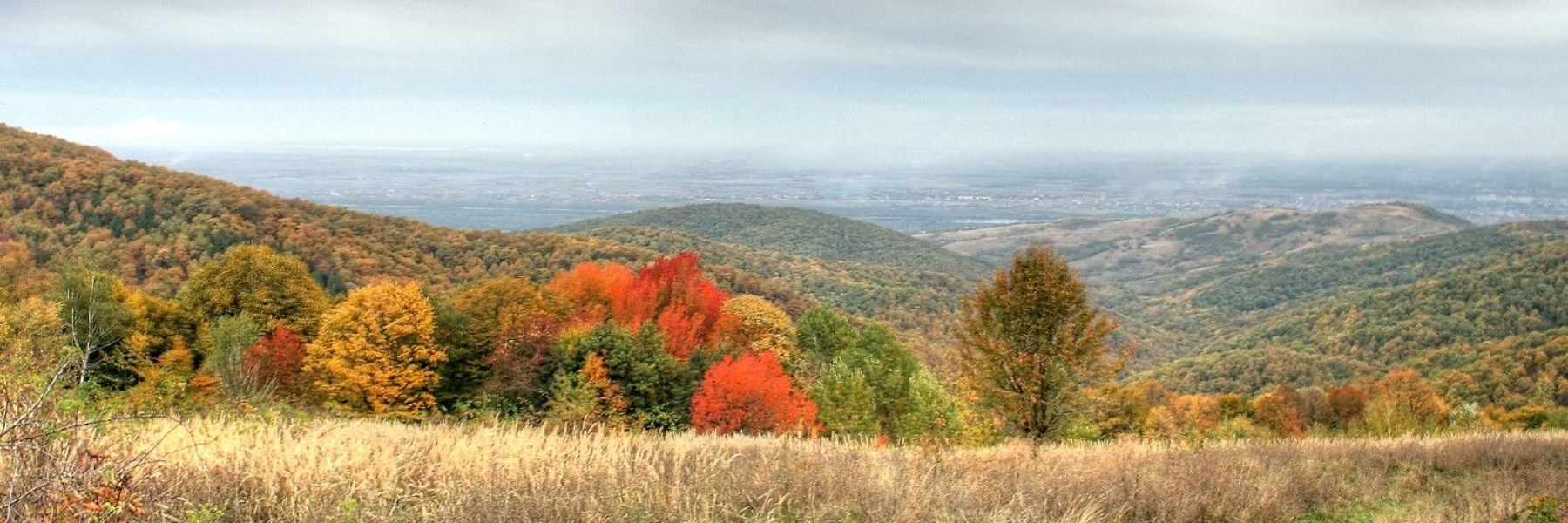 izletiste brankovac, fruska gora