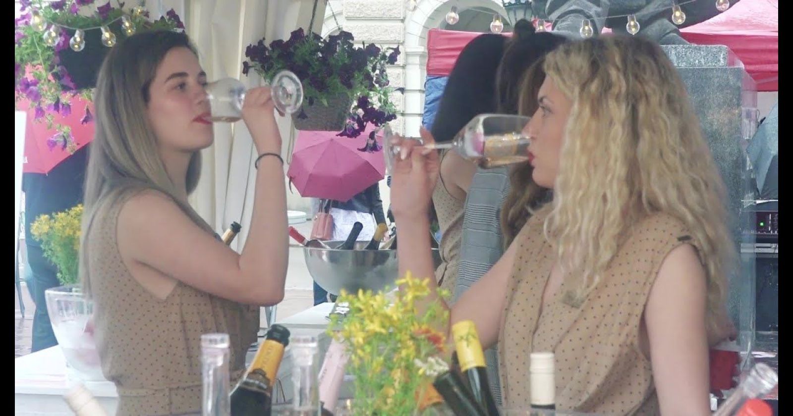 Interfest Novi Sad 2023