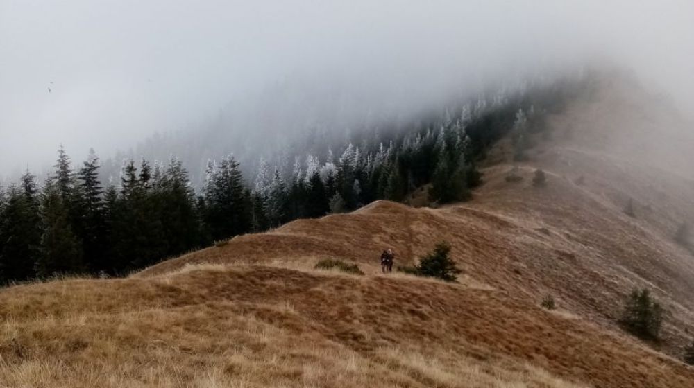 kozje stene, kopaonik