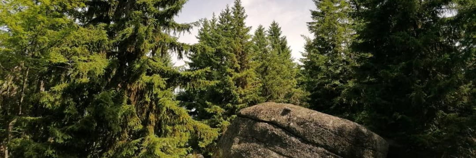 markov kamen, kopaonik
