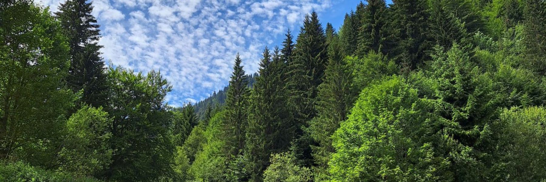 metodje, kopaonik