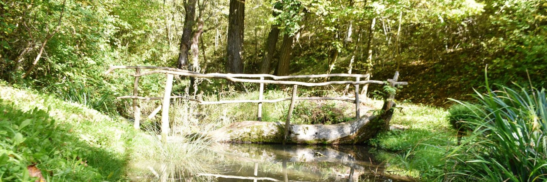 milivska klisura, despotovac