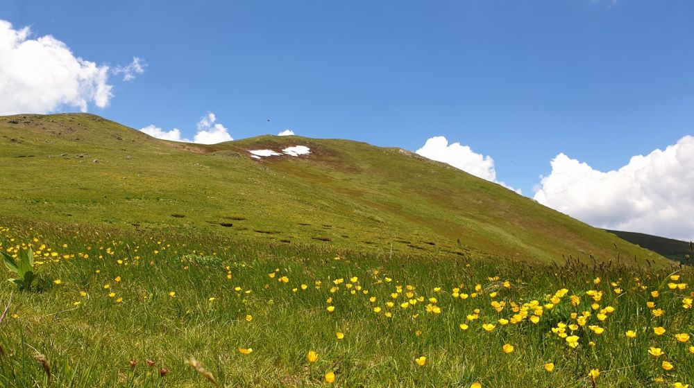 nebeske stolice, kopaonik