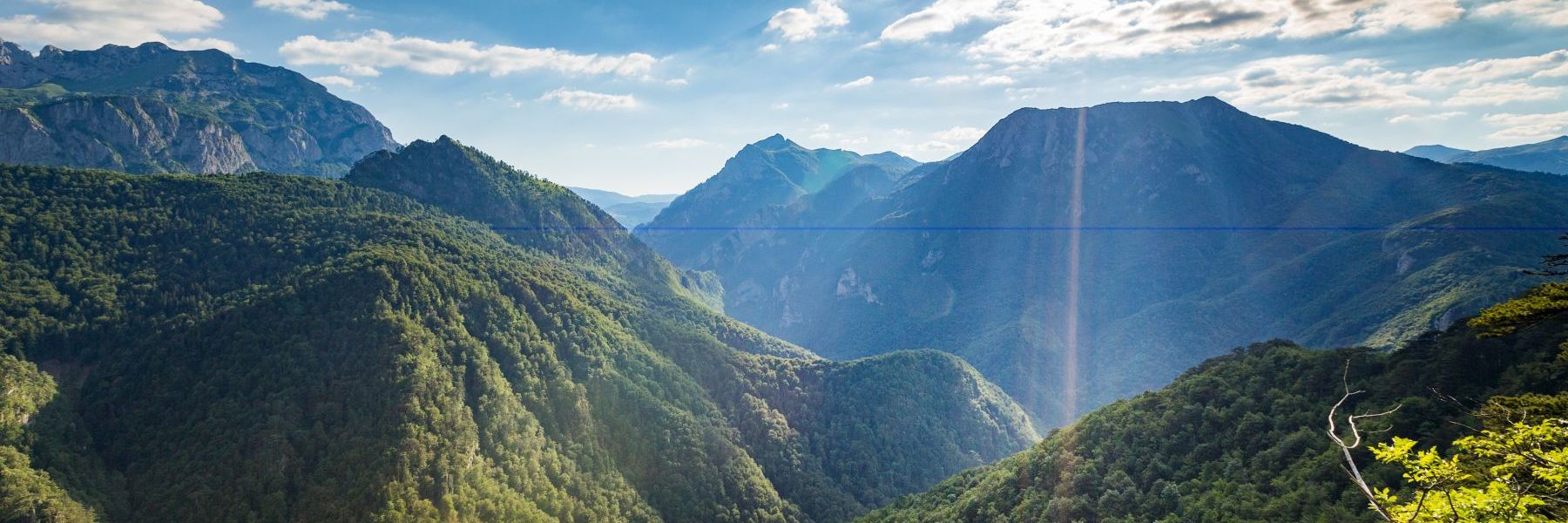 prasuma perucica, nacionalni park, sutjeska, foca