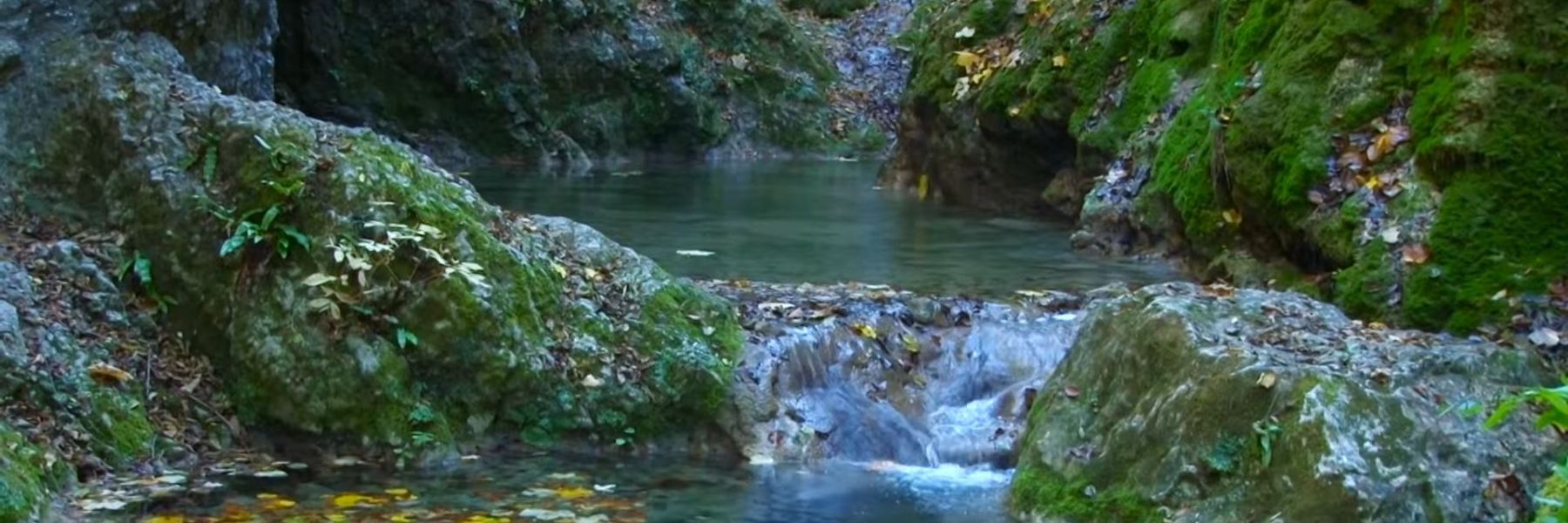 ovcarsko-kablarska klisura