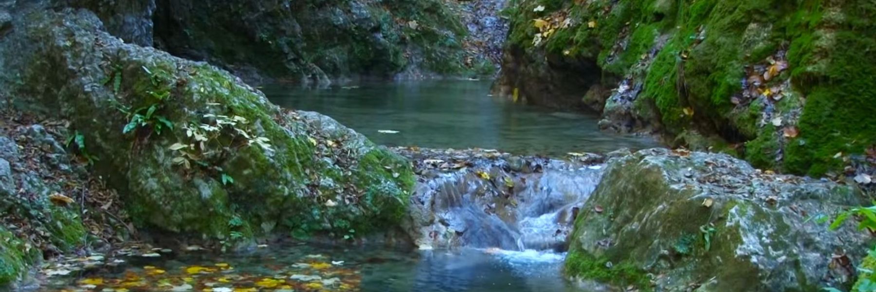 ovcarsko-kablarska klisura