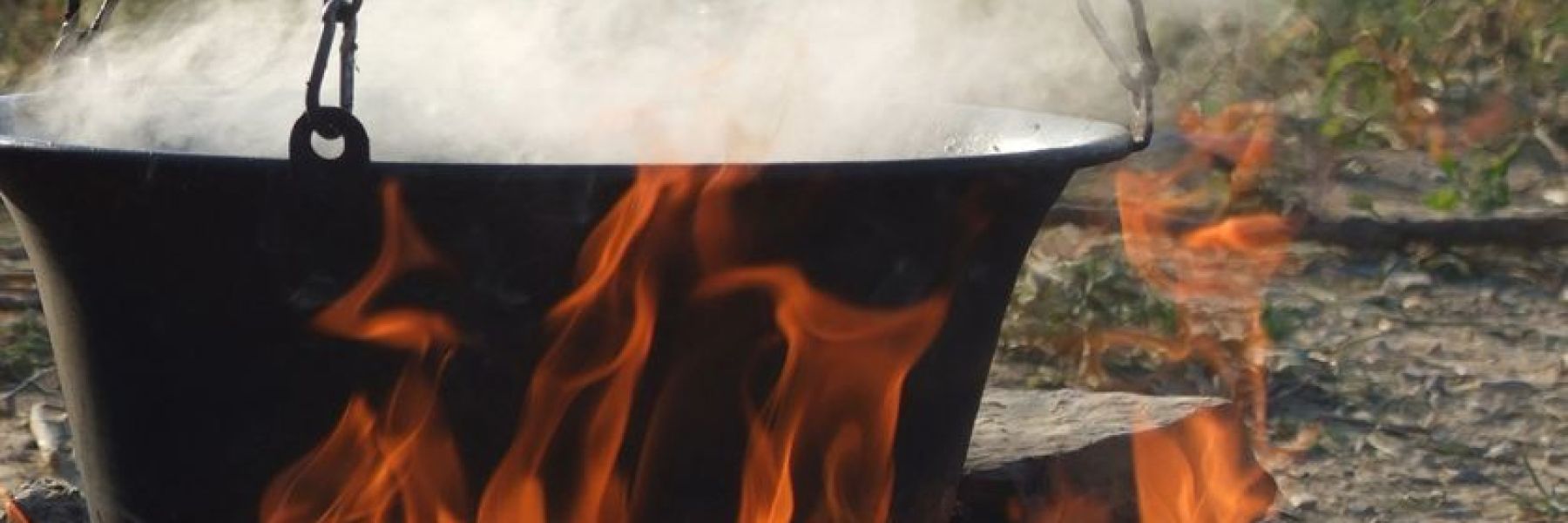 zlatni kotlic, indjija