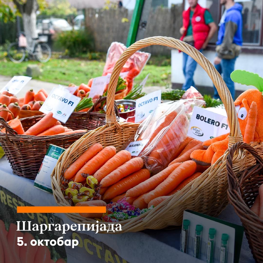 sargarepijada, begec