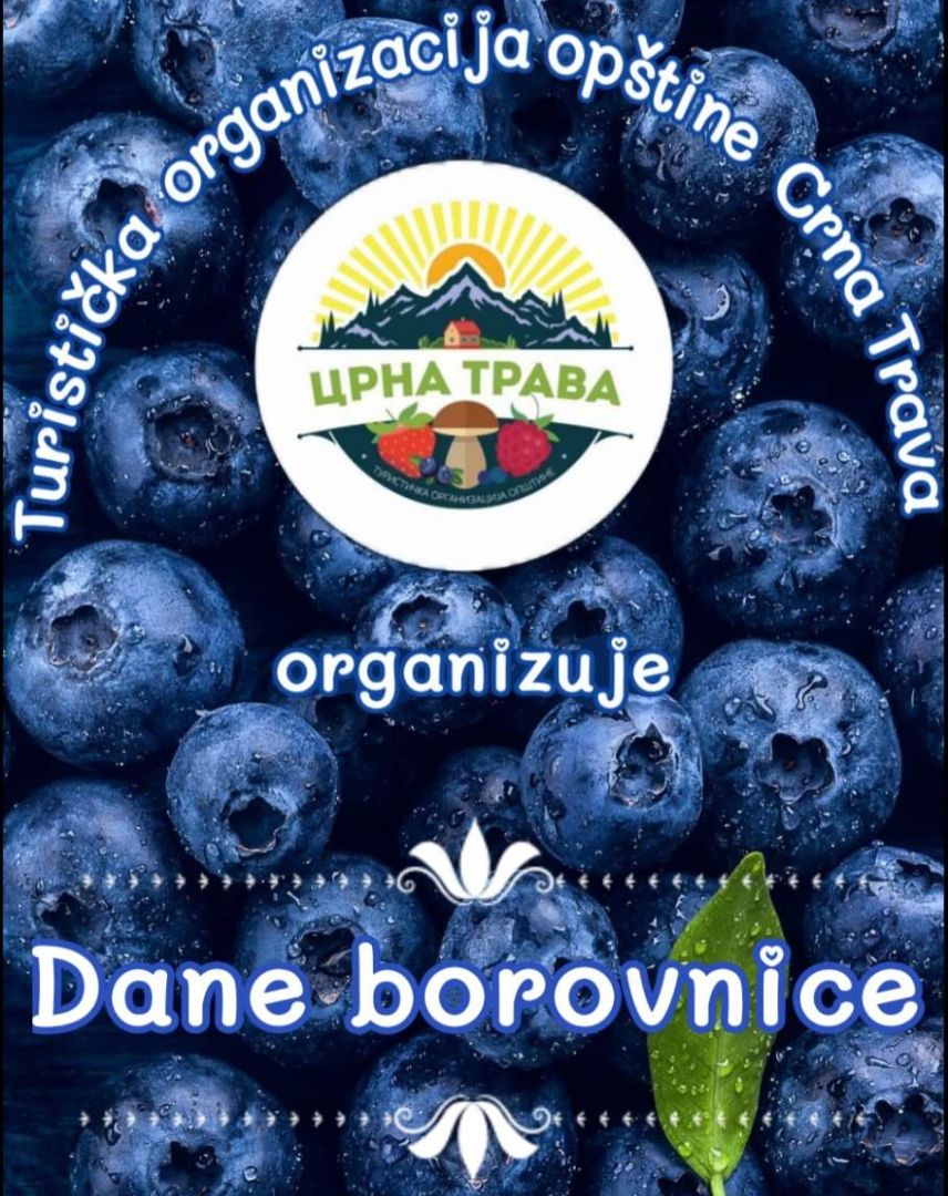 dani borovnice, crna trava