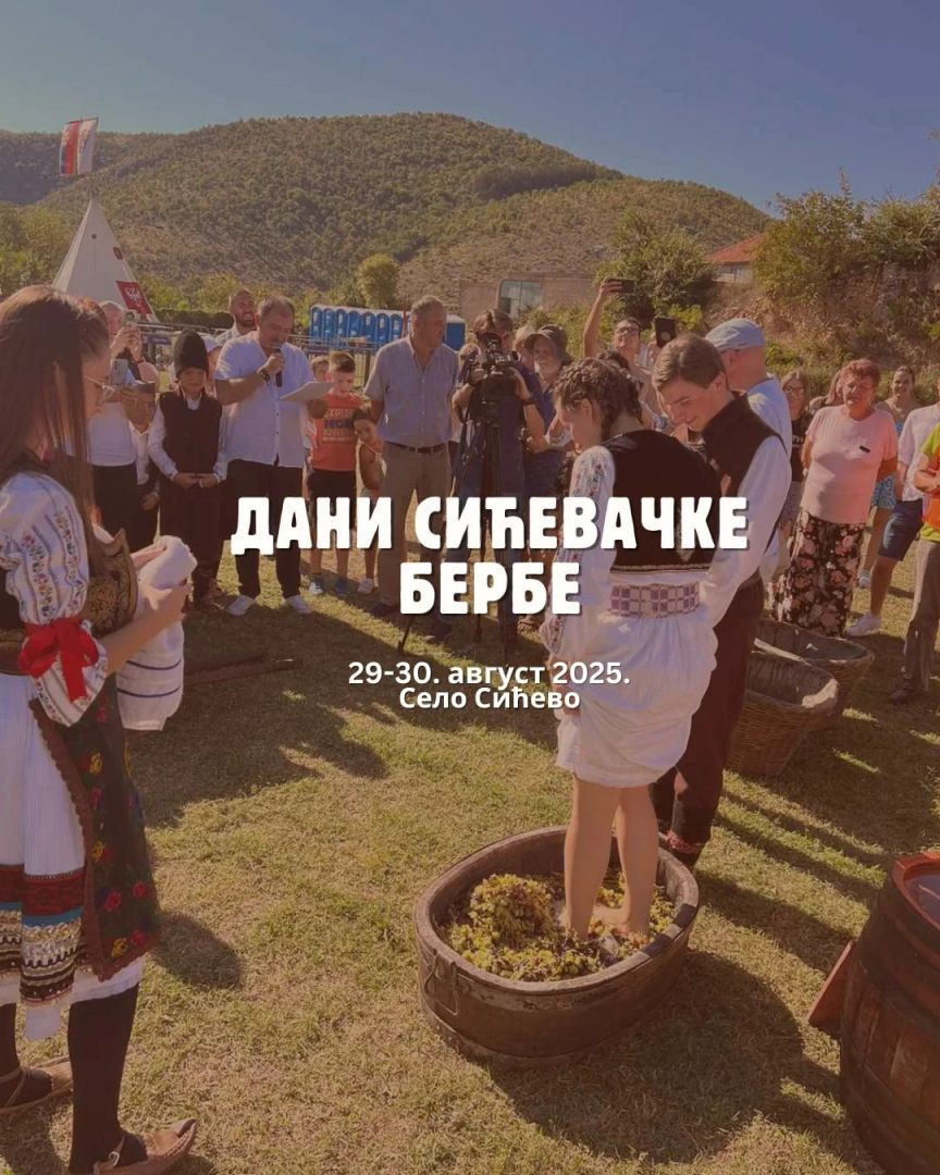 dani sicevacke berbe