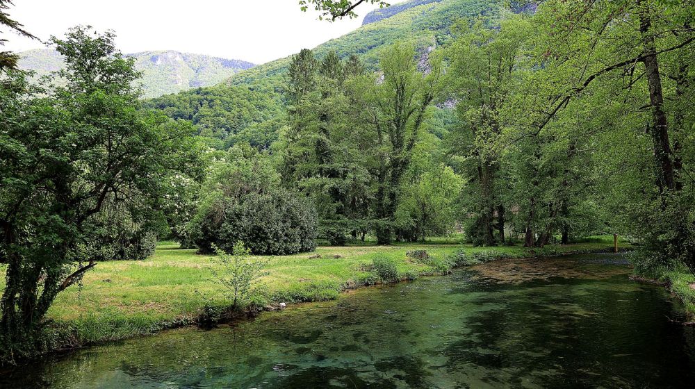 reka vrelo, godina, tara