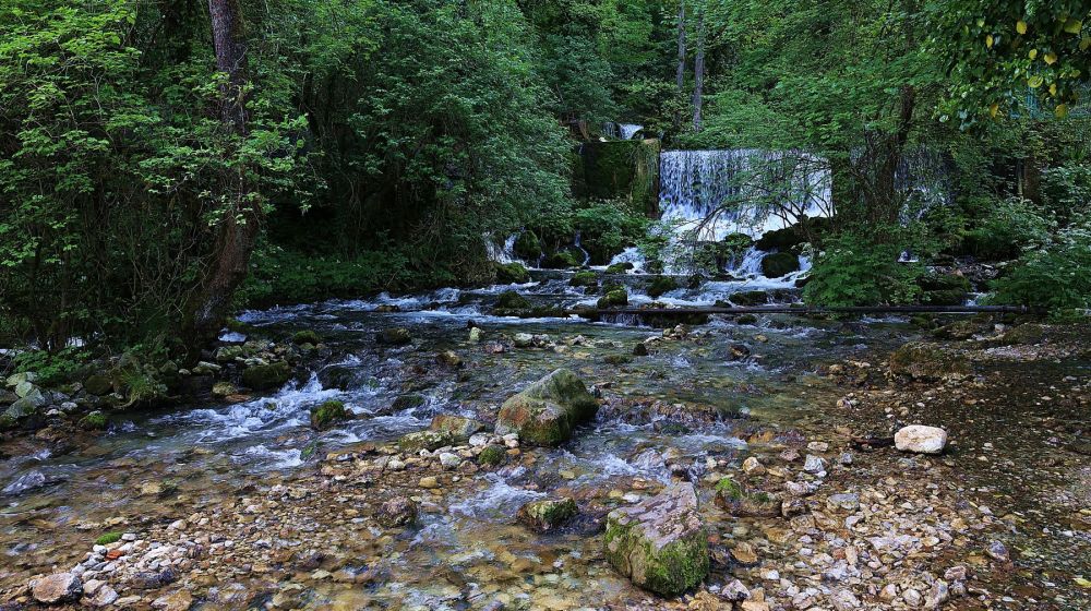 reka vrelo, godina, tara