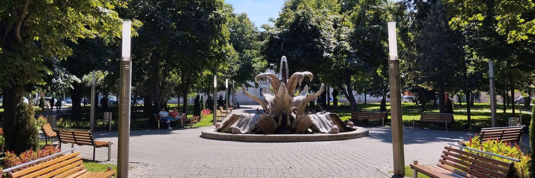 kameni cvet, sremska mitrovica