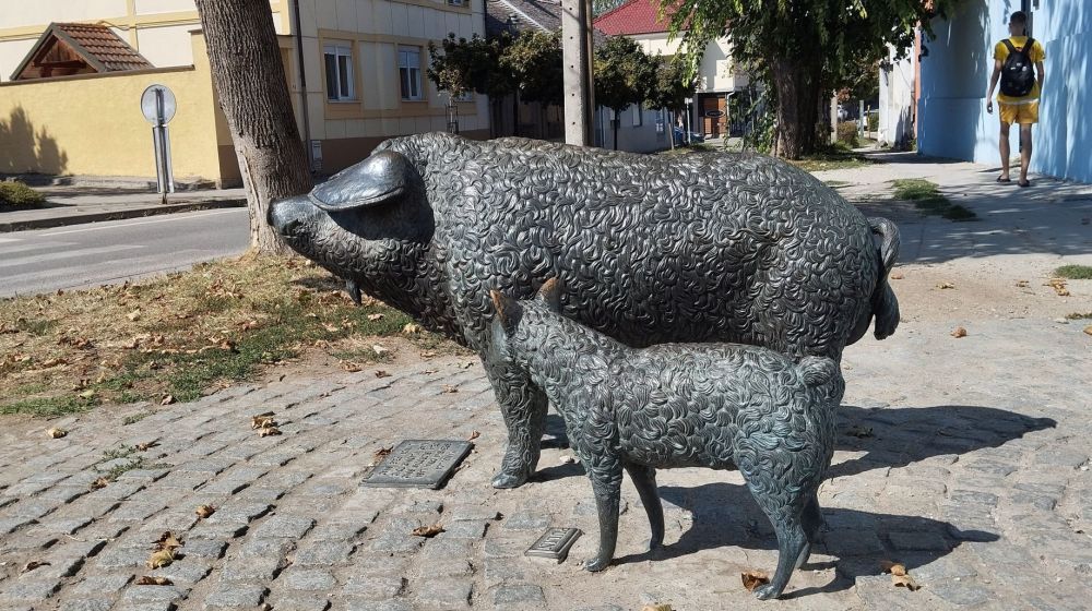sremska mitrovica