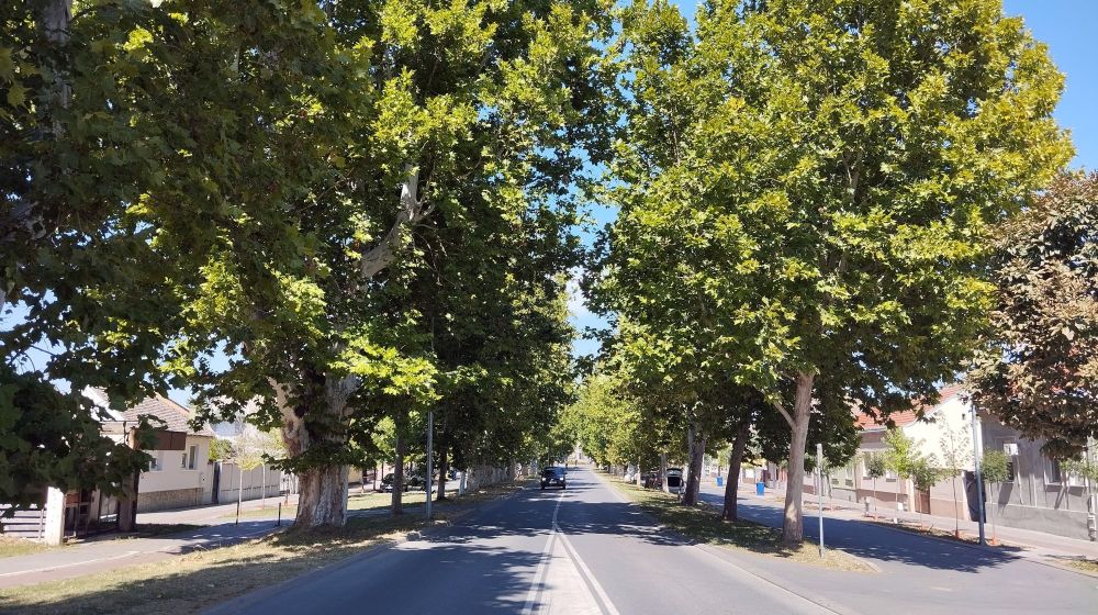 sremska mitrovica